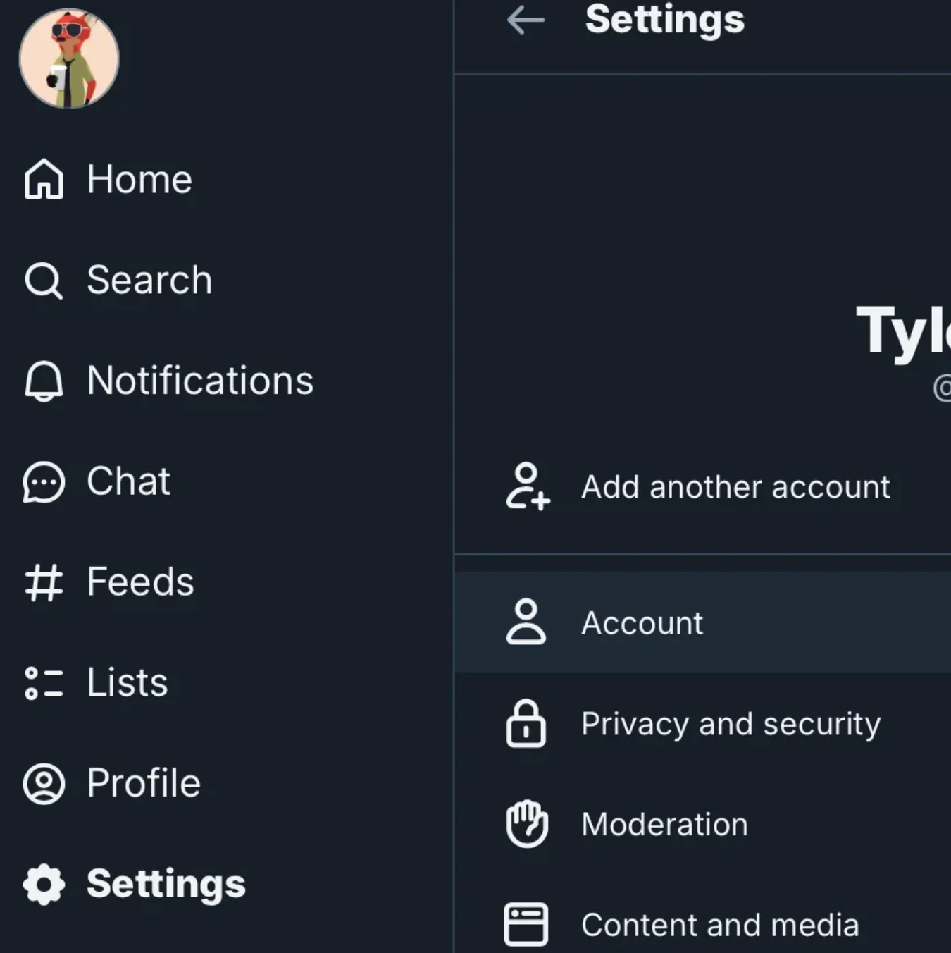 Bluesky settings screen