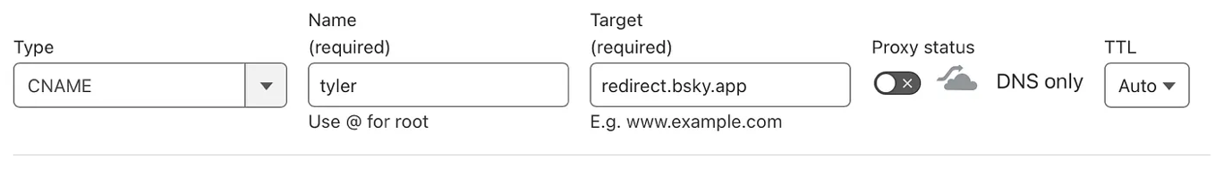 Cloudflare domain home view